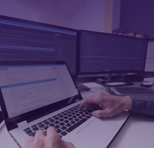 Custom Software Development